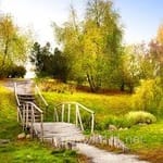 Avatar of Abdul Moiz